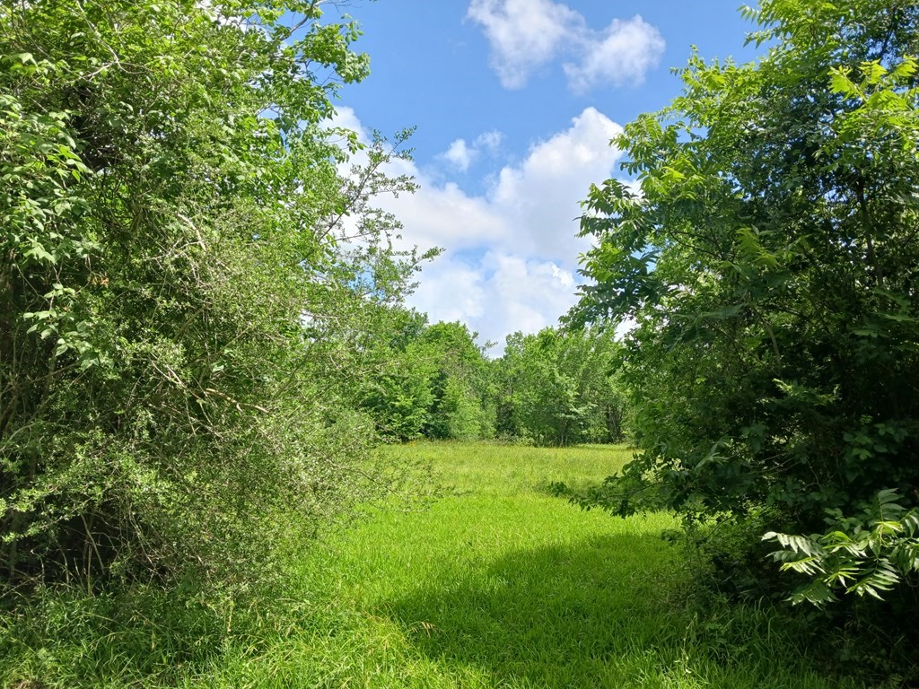 0 Cahill Road Angleton, TX 77515 - Photo 7 of 8