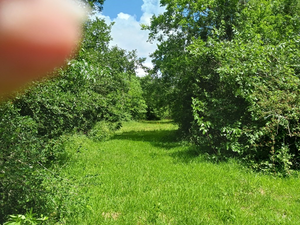 0 Cahill Road Angleton, TX 77515 - Photo 8 of 8