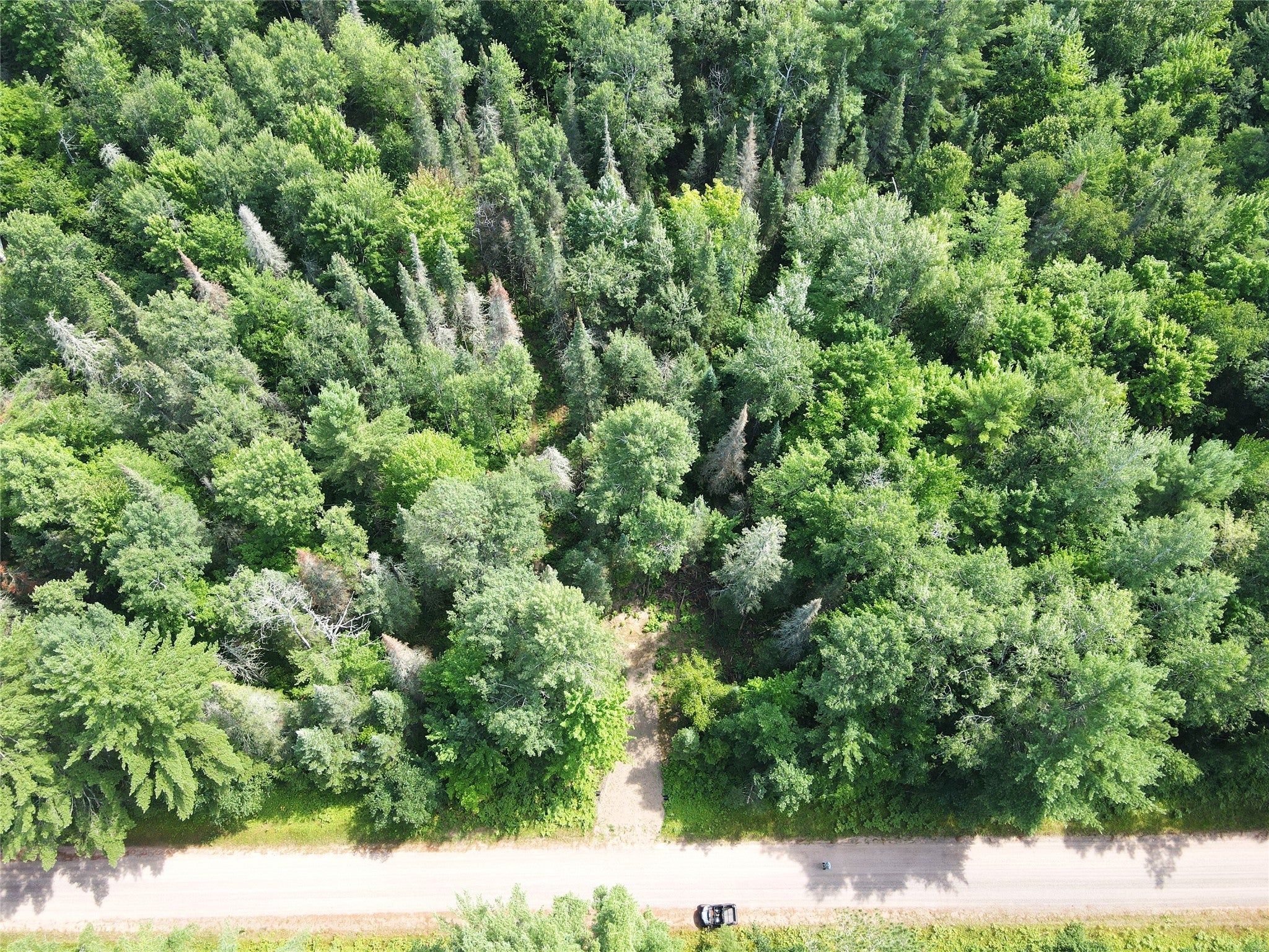 Lot 4 Smith Road Couderay, WI 54828 - Photo 11 of 27 Gallery Image 11