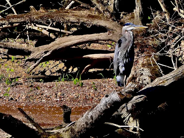 $500,000 | 3 Wildwood Lane, Douglas, MI 49406