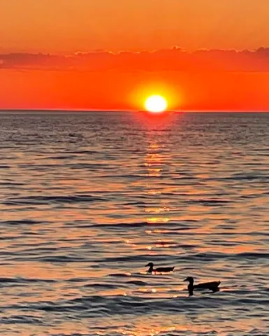 $500,000 | 3 Wildwood Lane, Douglas, MI 49406