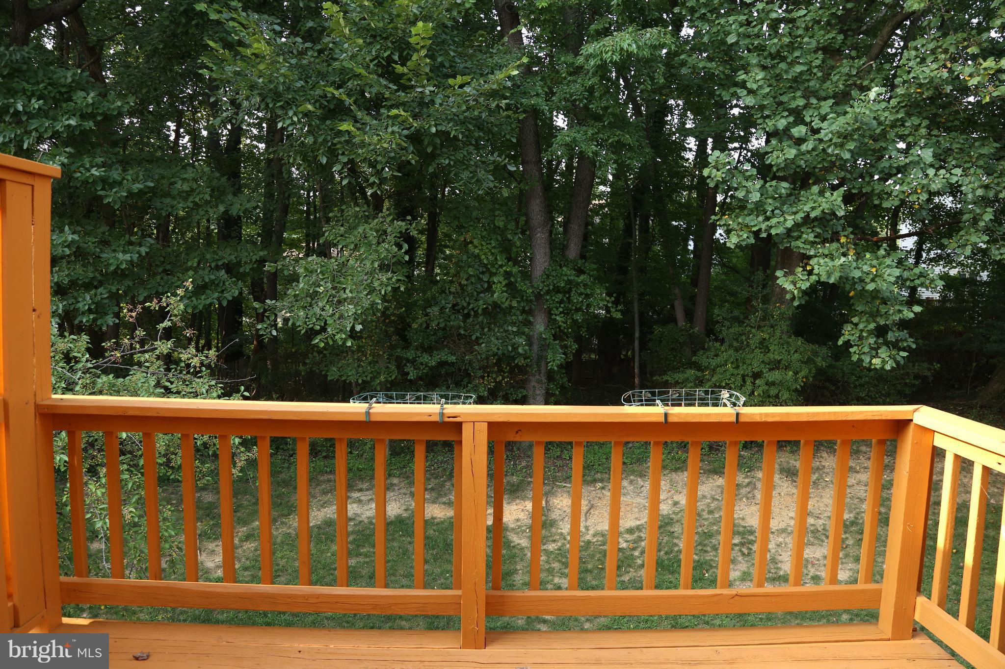 11316 Baritone Court Silver Spring, MD 20901 - Photo 18 of 25 View