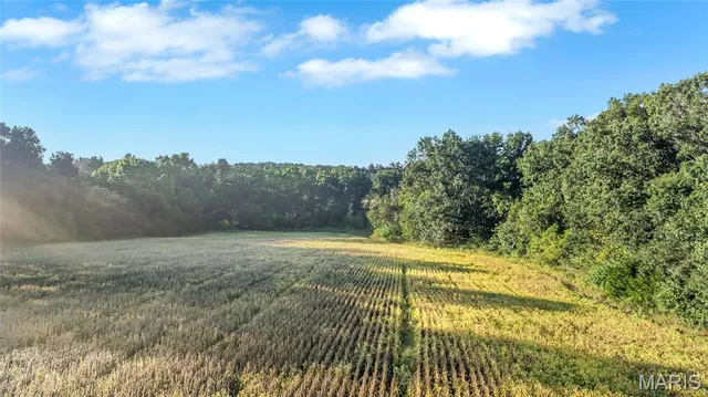 $159,000 | 0 Snyder Road, Troy, MO 63379