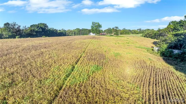 $159,000 | 0 Snyder Road, Troy, MO 63379