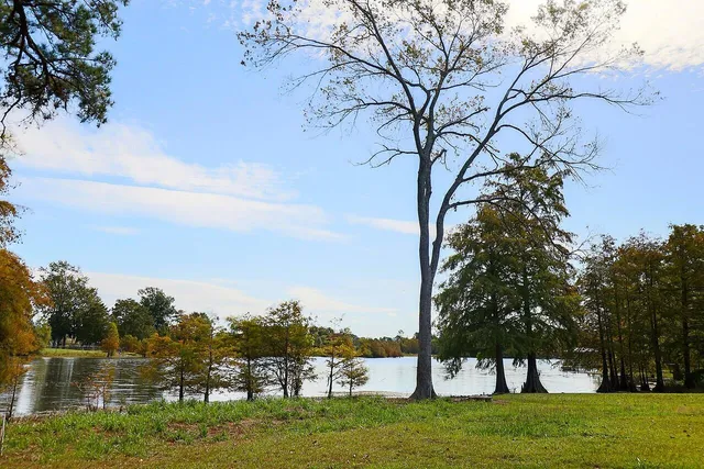 $989,000 | 256 Plantation Drive, Manning, SC 29102