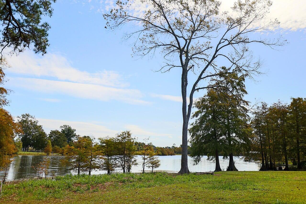 256 Plantation Drive Manning, SC 29102 - Photo 32 of 37 20251023183943071823000000-o