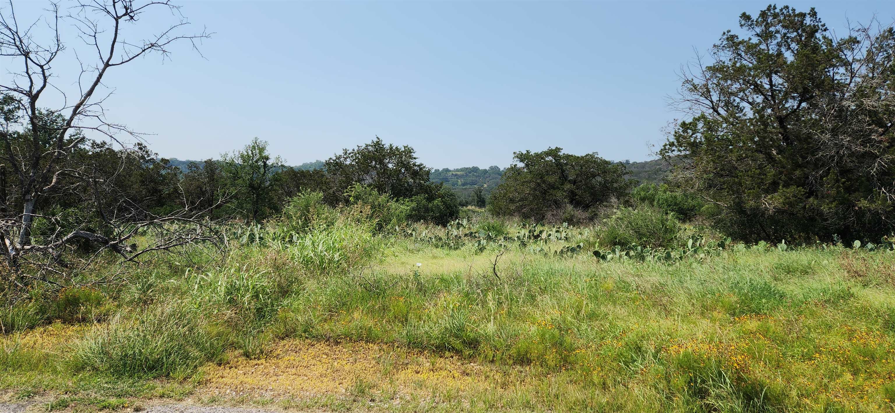 Tbd Easy Street Burnet, TX 78611 - Photo 2 of 18