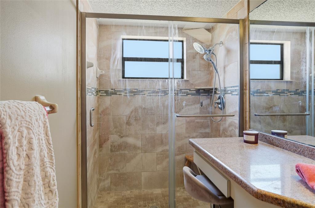 23209 Blue Ridge Place Land O' Lakes, FL 34639 - Photo 11 of 54 a bathroom with a granite countertop shower a mirror and a sink