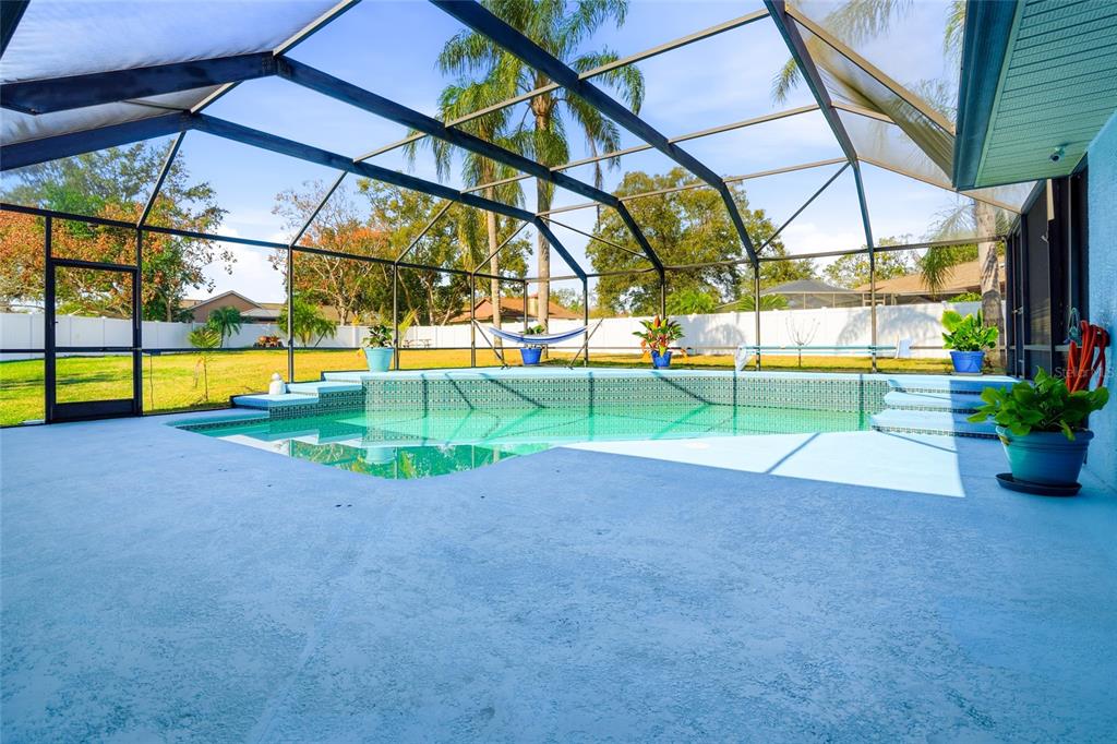 23209 Blue Ridge Place Land O' Lakes, FL 34639 - Photo 28 of 54