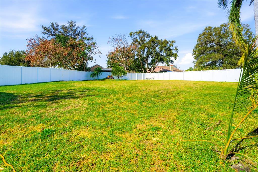 23209 Blue Ridge Place Land O' Lakes, FL 34639 - Photo 32 of 54 a view of an ocean from a yard