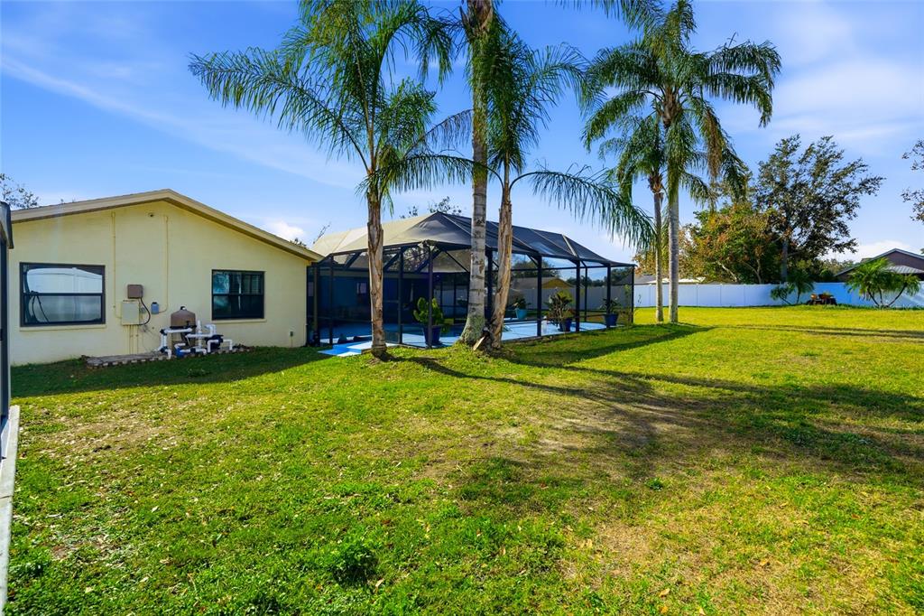 23209 Blue Ridge Place Land O' Lakes, FL 34639 - Photo 36 of 54 a view of a house with a swimming pool