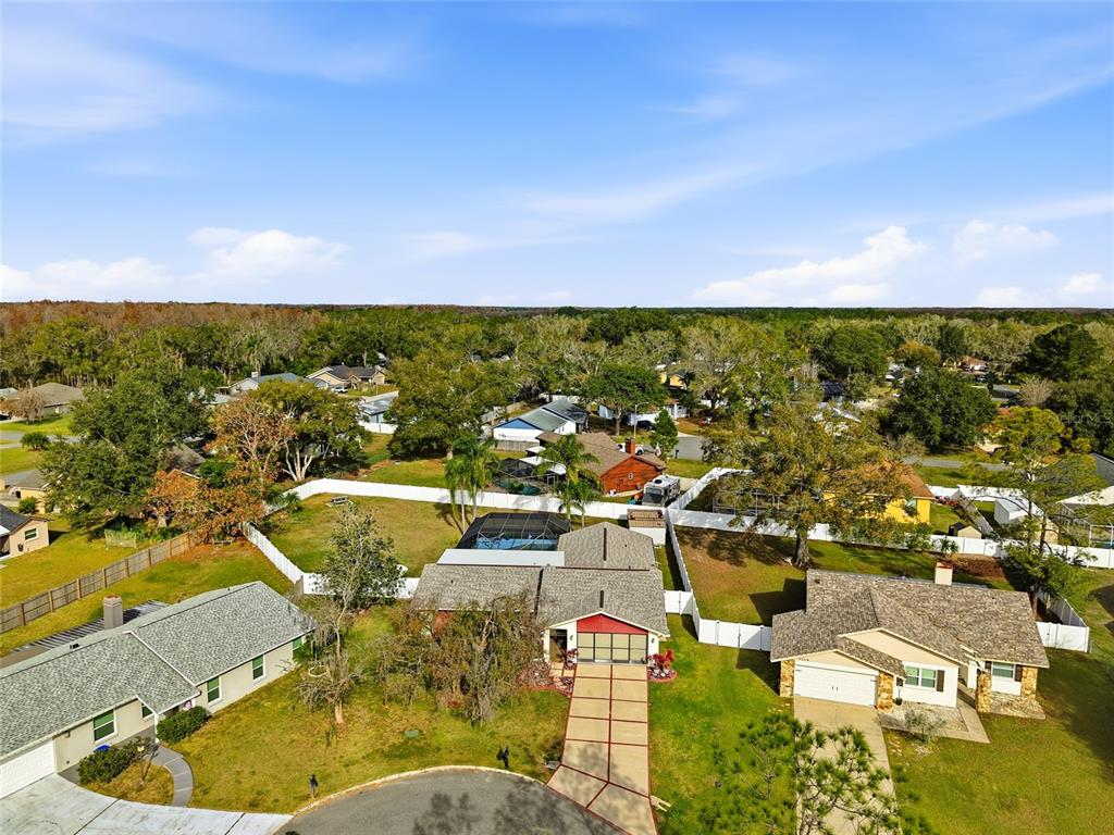 23209 Blue Ridge Place Land O' Lakes, FL 34639 - Photo 41 of 54