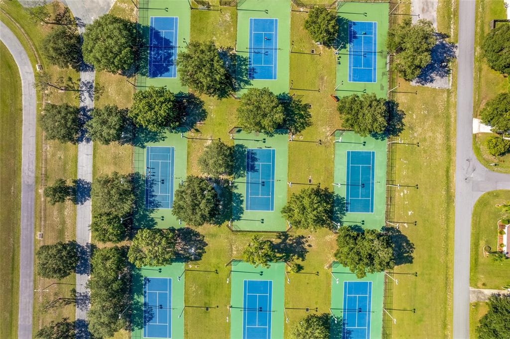 23209 Blue Ridge Place Land O' Lakes, FL 34639 - Photo 48 of 54 front view of a house with a garden