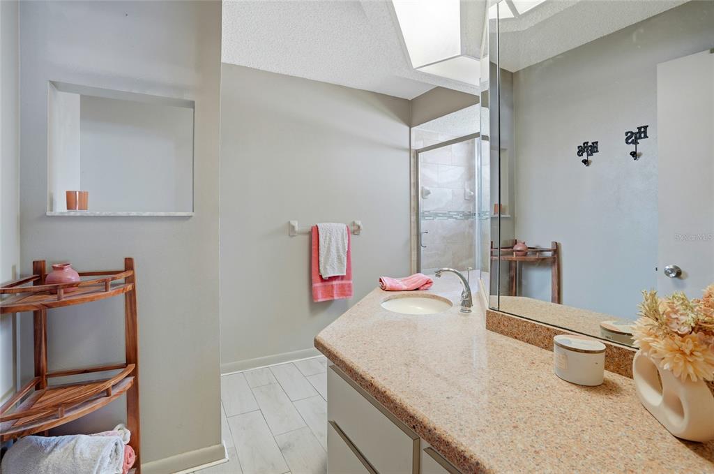 23209 Blue Ridge Place Land O' Lakes, FL 34639 - Photo 10 of 54 a bathroom with a granite countertop sink and a mirror