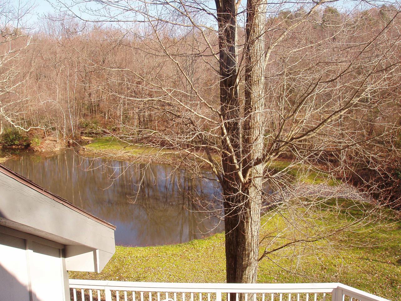 196 A Jonas Road Effort, PA 18330 - Photo 10 of 14 VIEW FROM MASTER BR