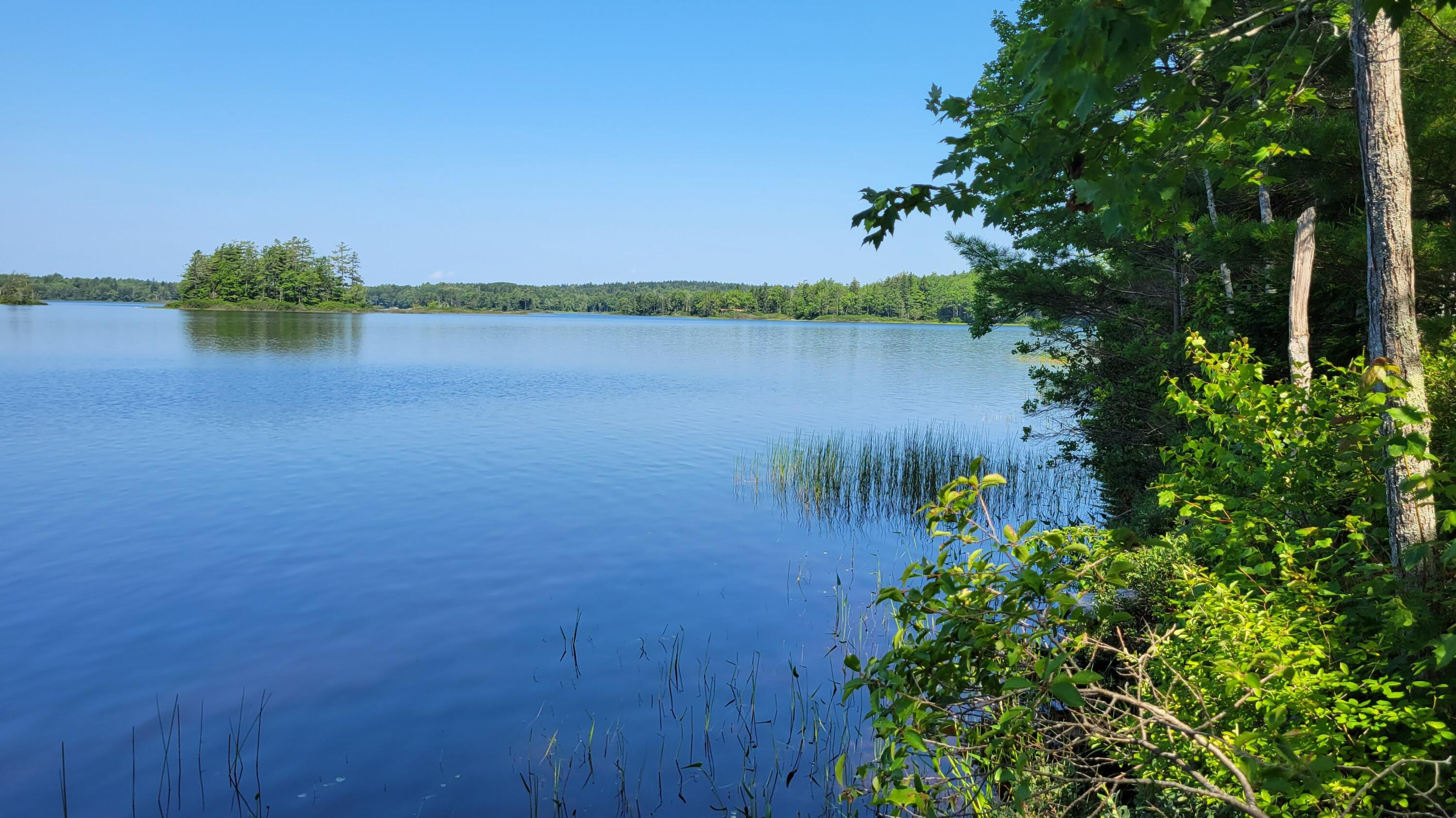 0 Pond Road Gouldsboro, ME 04607 - Photo 1 of 15 Jones Pond Looking North