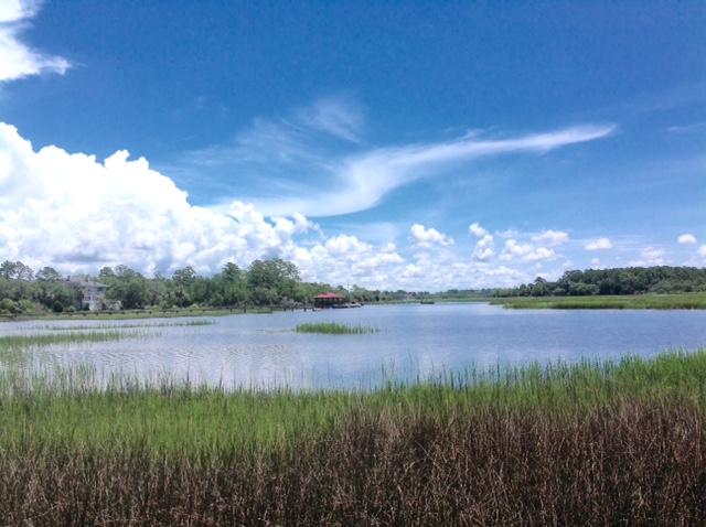 Lot 2 Summit Plantation Road Meggett, SC 29449 - Photo 1 of 14 FullSizeRender_3