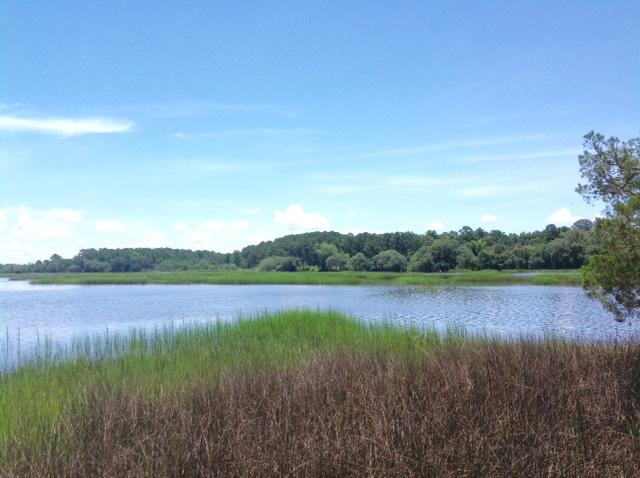 Lot 2 Summit Plantation Road Meggett, SC 29449 - Photo 2 of 14 FullSizeRender_4