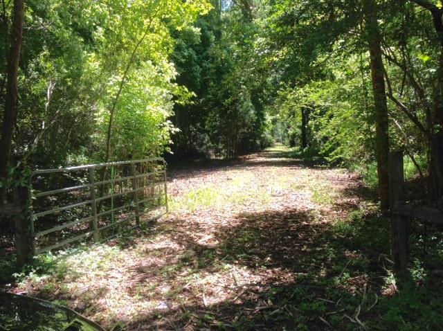 Lot 2 Summit Plantation Road Meggett, SC 29449 - Photo 12 of 14 FullSizeRender_1