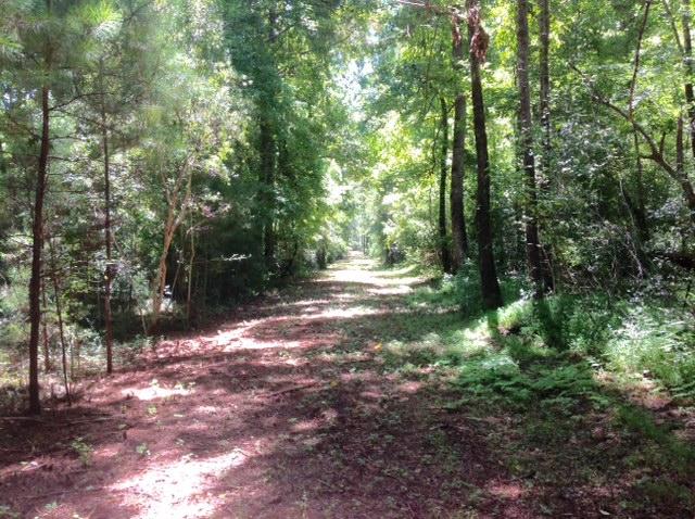 Lot 2 Summit Plantation Road Meggett, SC 29449 - Photo 13 of 14 FullSizeRender