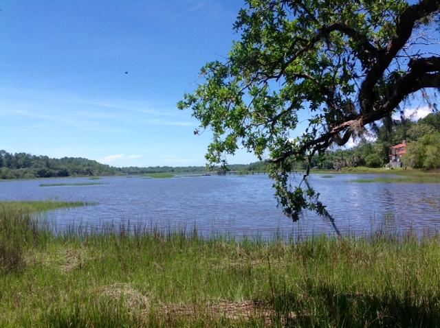 Lot 2 Summit Plantation Road Meggett, SC 29449 - Photo 3 of 14 FullSizeRender_6