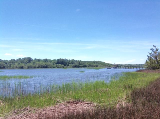 Lot 2 Summit Plantation Road Meggett, SC 29449 - Photo 7 of 14 FullSizeRender_11