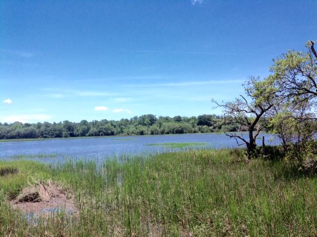 Lot 2 Summit Plantation Road Meggett, SC 29449 - Photo 8 of 14 FullSizeRender_12