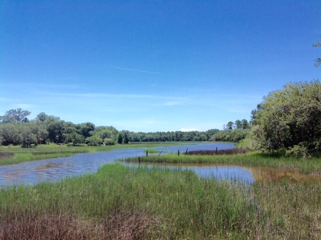 Lot 2 Summit Plantation Road Meggett, SC 29449 - Photo 9 of 14 FullSizeRender_13