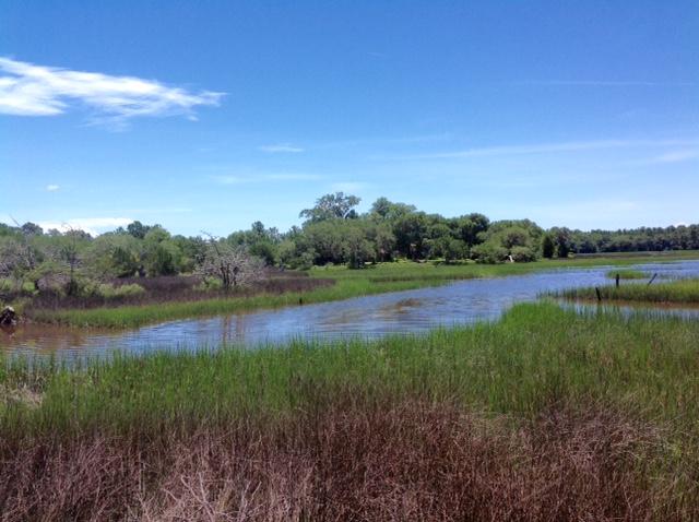 Lot 2 Summit Plantation Road Meggett, SC 29449 - Photo 10 of 14 FullSizeRender_14