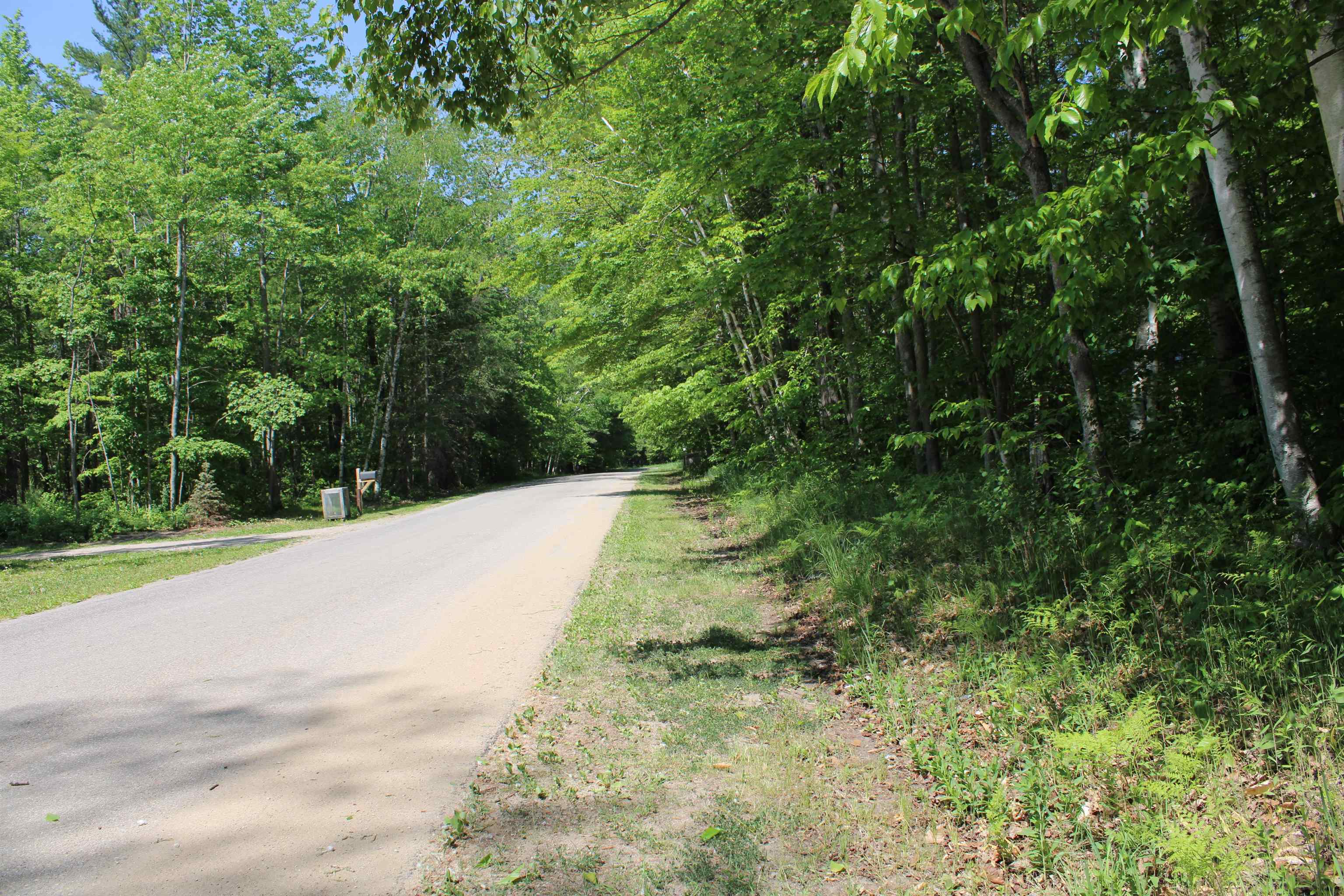 Vl Squaw Lake Road Kalkaska, MI 49646 - Photo 15 of 21