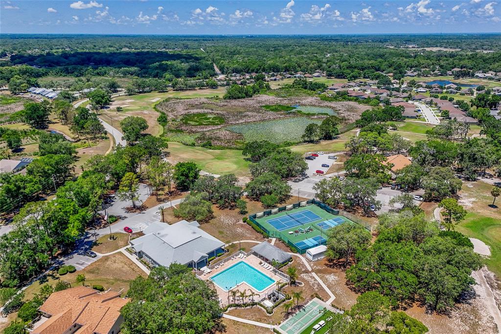 13253 Golf Ridge Place Hudson, FL 34669 - Photo 51 of 54