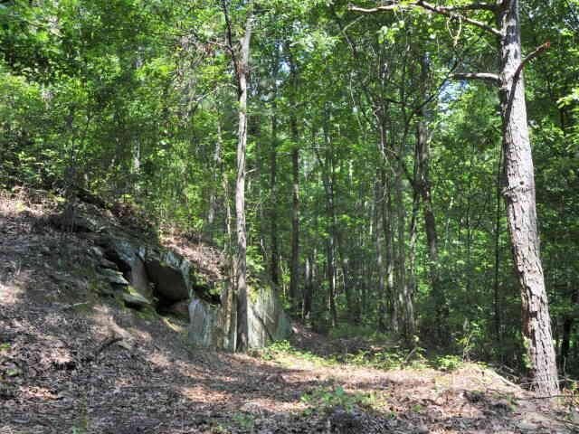 3320 Stillhouse Road Southeast Atlanta, GA 30339 - Photo 1 of 1