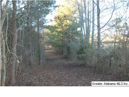 66 County Road, Unit 50 Woodland, AL 36280 - Photo 9 of 12