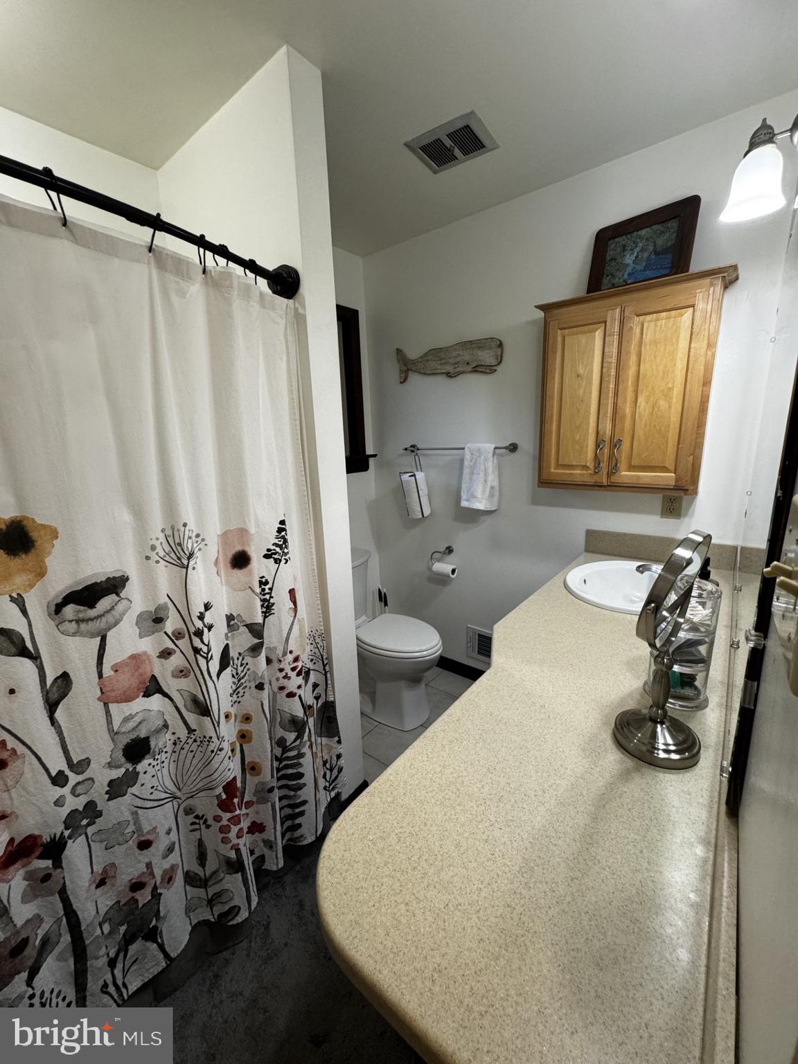 11800 Wolf Run Lane Clifton, VA 20124 - Photo 29 of 56