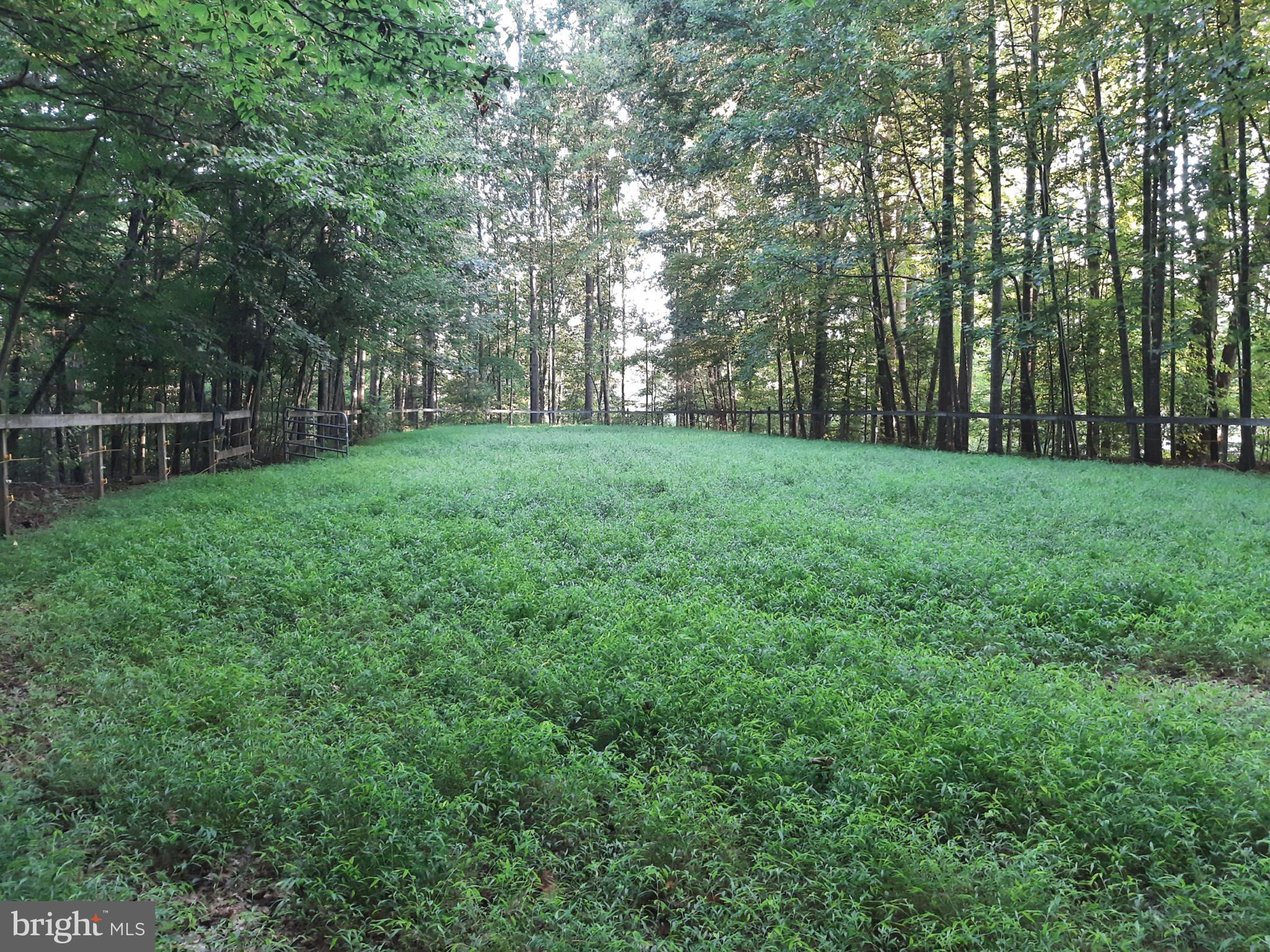 11800 Wolf Run Lane Clifton, VA 20124 - Photo 56 of 56 Fenced Paddock #2