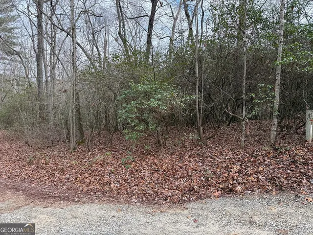$29,900 | Lot 25 Ideal Acres, Otto, NC 28763