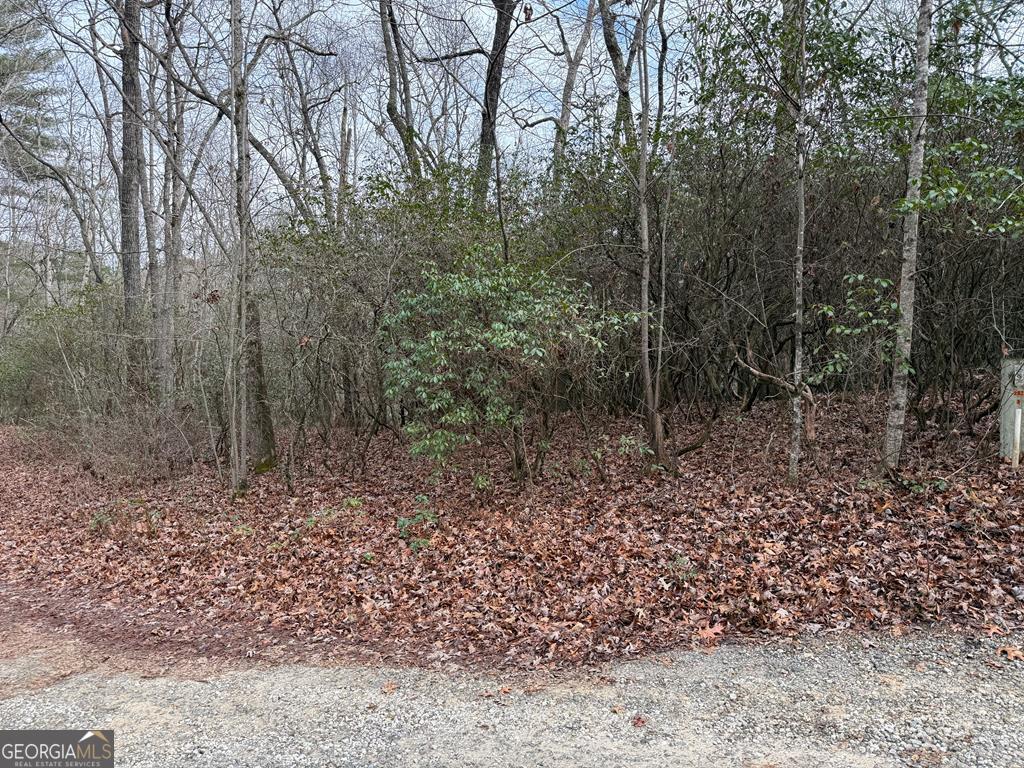 Lot 25 Ideal Acres Otto, NC 28763 - Photo 3 of 13 a view of a forest with trees
