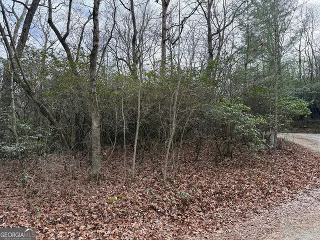 $29,900 | Lot 25 Ideal Acres, Otto, NC 28763