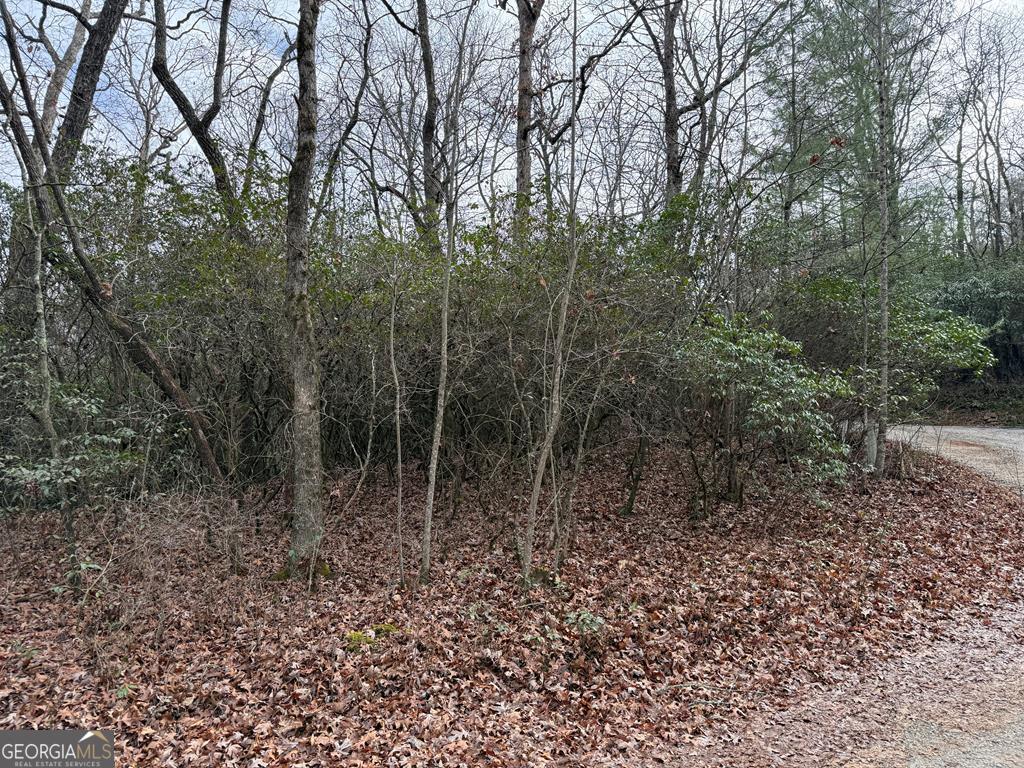 Lot 25 Ideal Acres Otto, NC 28763 - Photo 4 of 13 a view of a forest with trees in the background