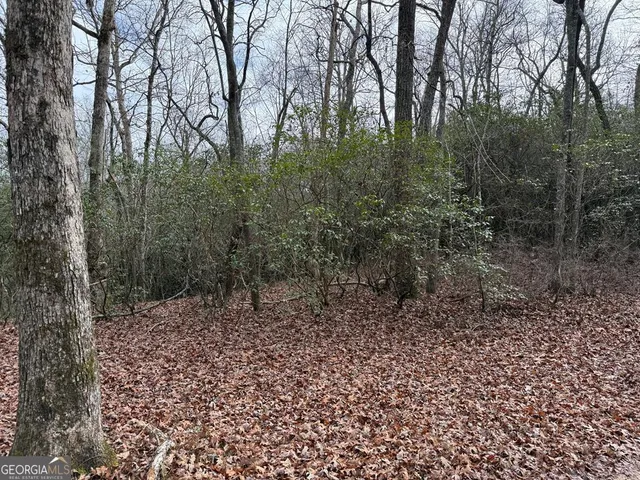 $29,900 | Lot 25 Ideal Acres, Otto, NC 28763
