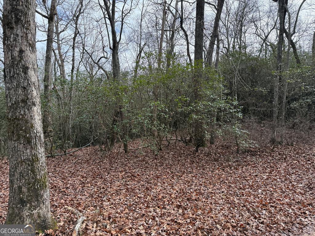 Lot 25 Ideal Acres Otto, NC 28763 - Photo 5 of 13 a view of a forest