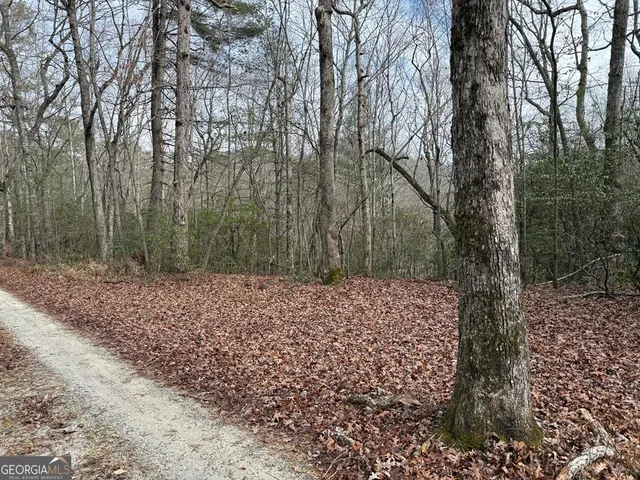 $29,900 | Lot 25 Ideal Acres, Otto, NC 28763