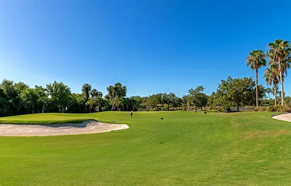 a view of a golf course with a large trees