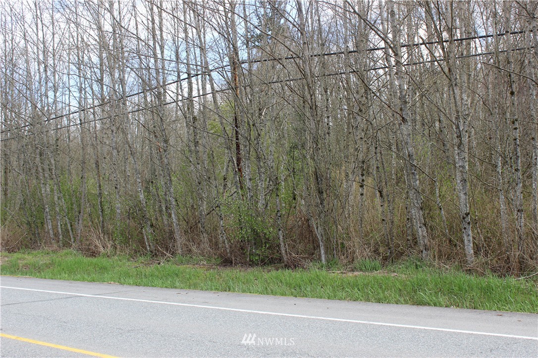0 Old Highway 99 North Road Sedro-Woolley, WA 98284 - Photo 1 of 1 Gallery Image 1