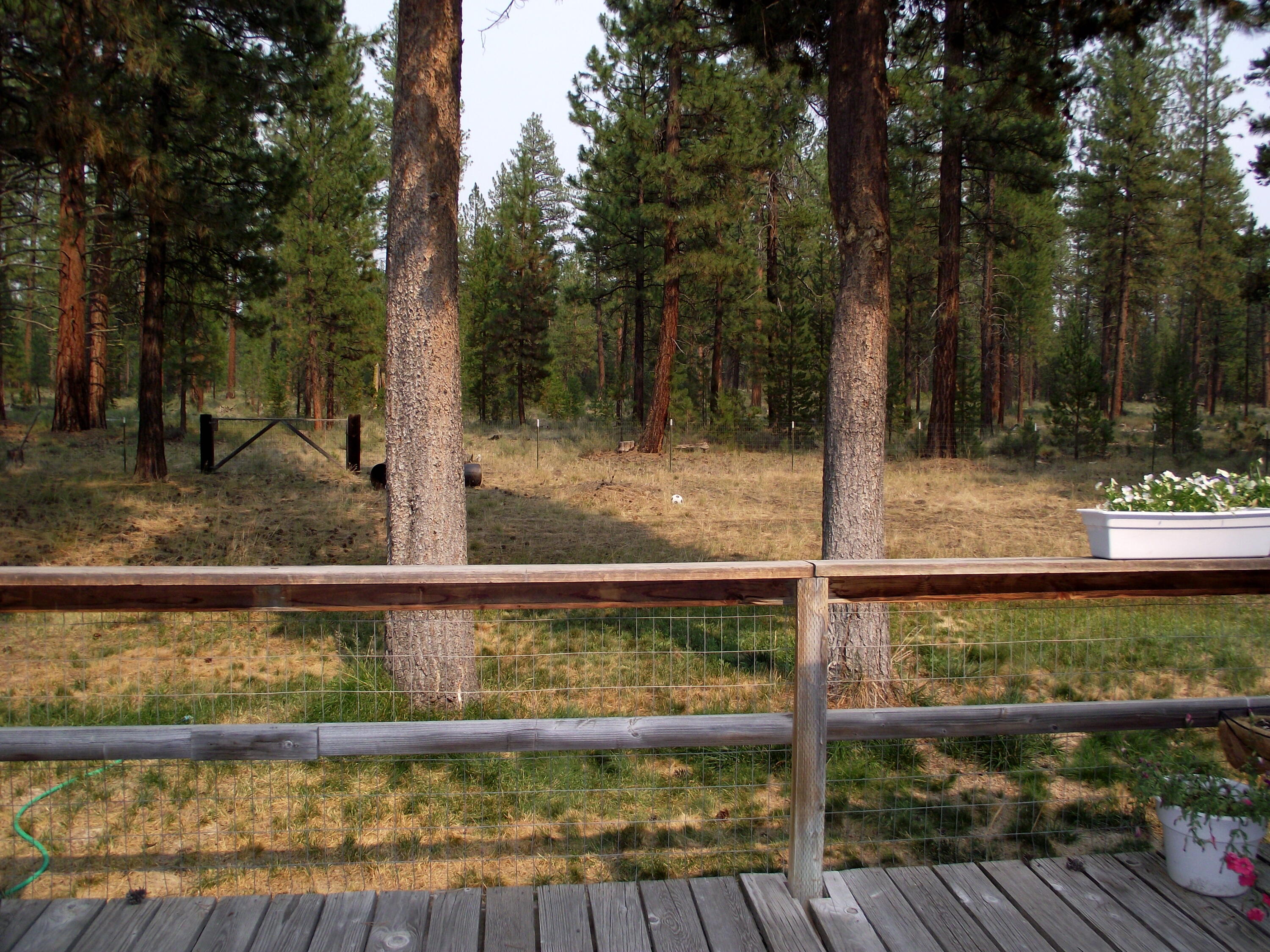 52710 Ammon Road La Pine, OR 97739 - Photo 9 of 26 DSCF7794