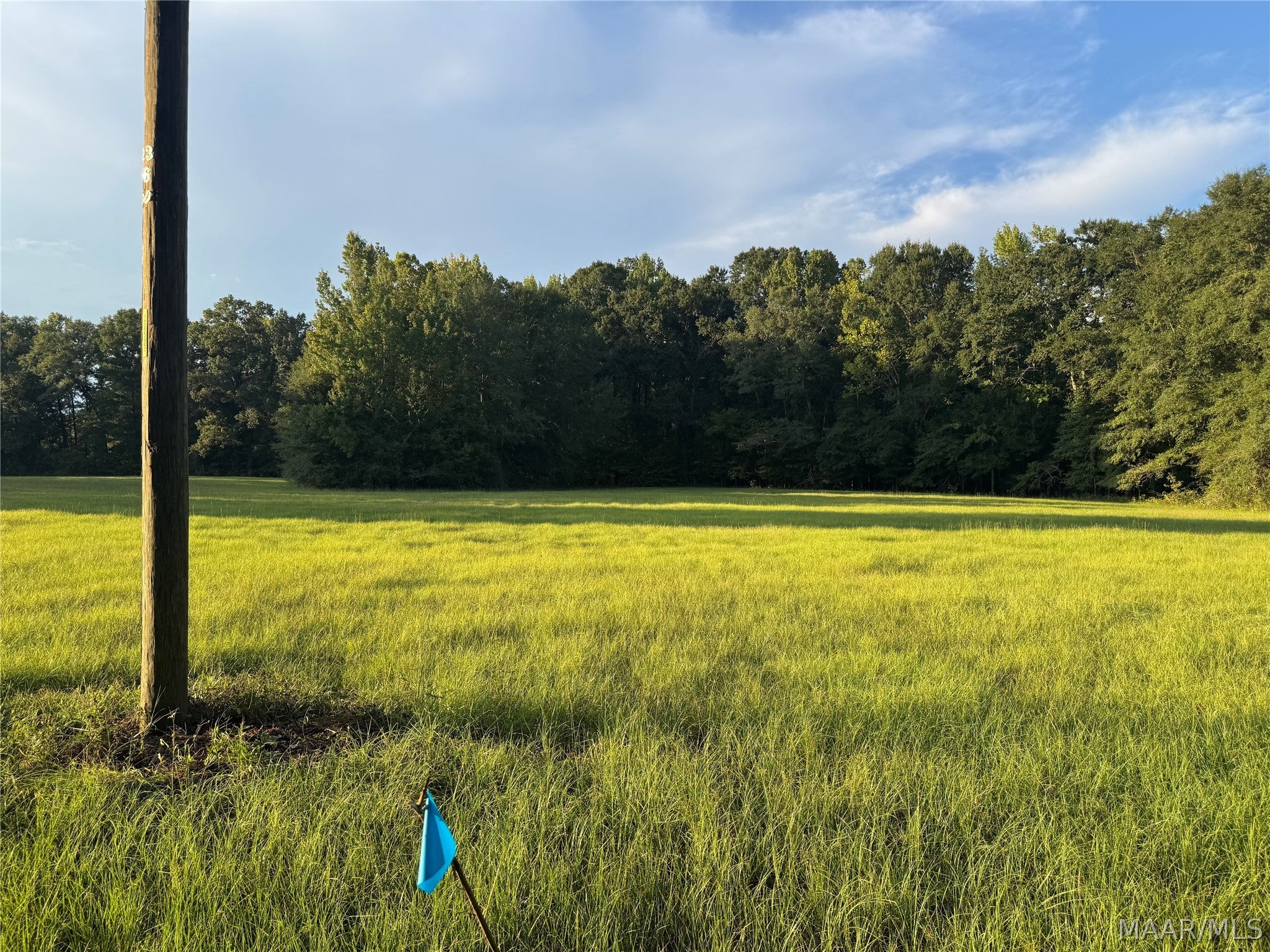 331 Old Barnes Road Mathews, AL 36052 - Photo 5 of 11 Gallery Image 5