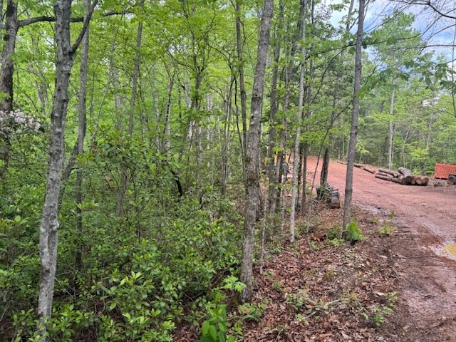 0 Tyler Lane Marble, NC 28905 - Photo 18 of 31