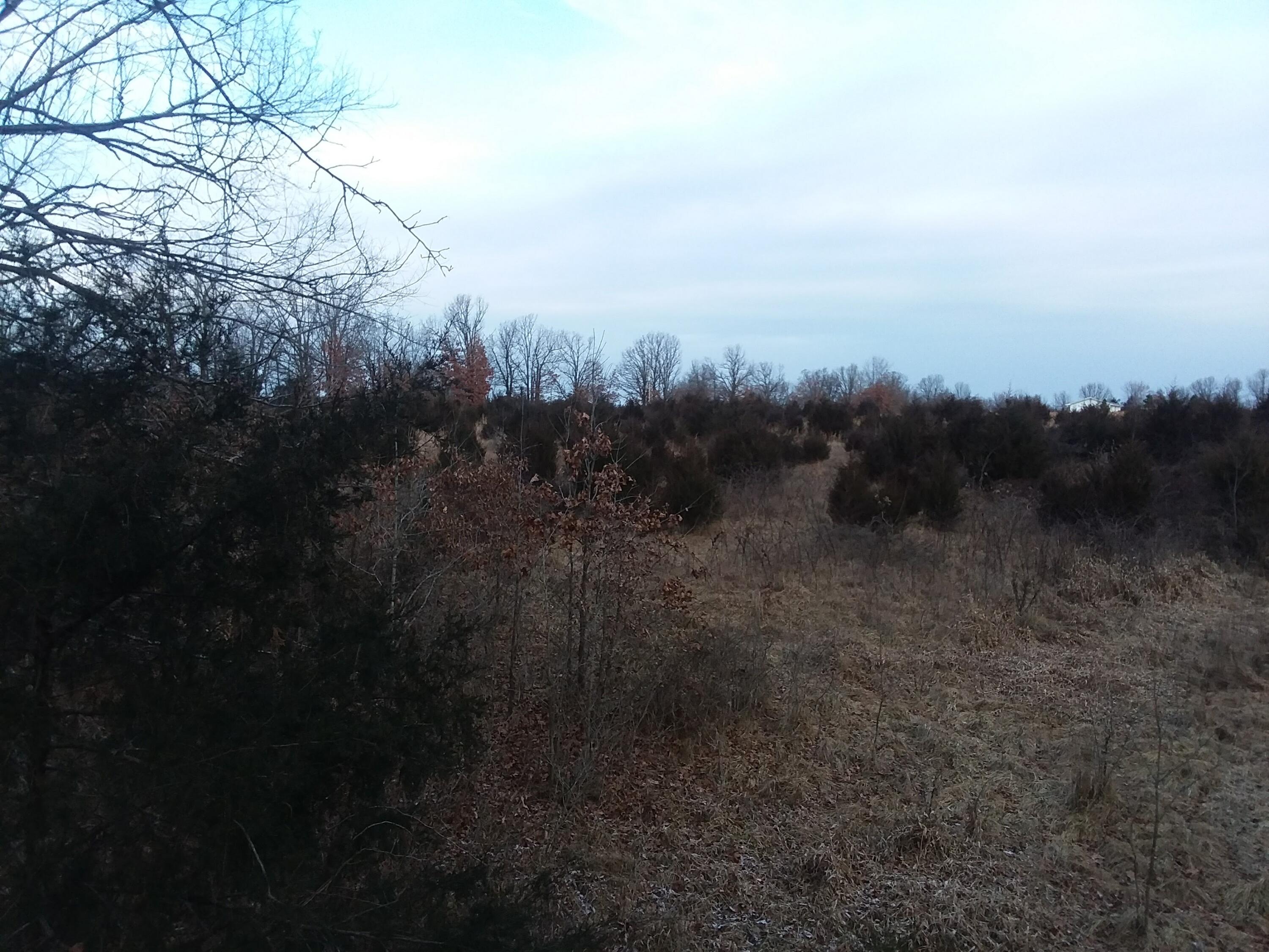 0 Woodhill Road Buffalo, MO 65622 - Photo 1 of 1 20180113_082228_Original