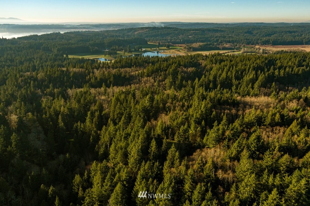 -nhn Log Cabin Road Clinton, WA 98236 - Photo 11 of 14 Gallery Image 11