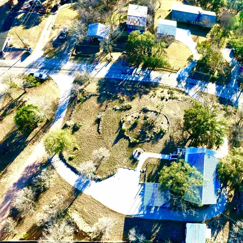 a picture of flowers